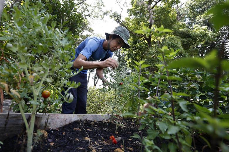 Singapore can contribute to food security in the region, despite its