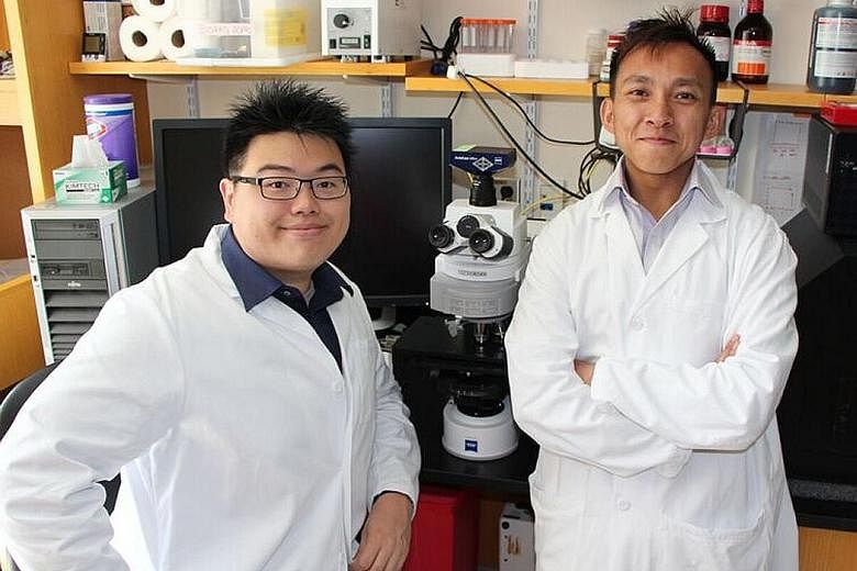 Dr Wang (left) and Dr Poh, co-founders of biotech start-up PathoVax, whose vaccine is expected to undergo clinical trials by 2018.