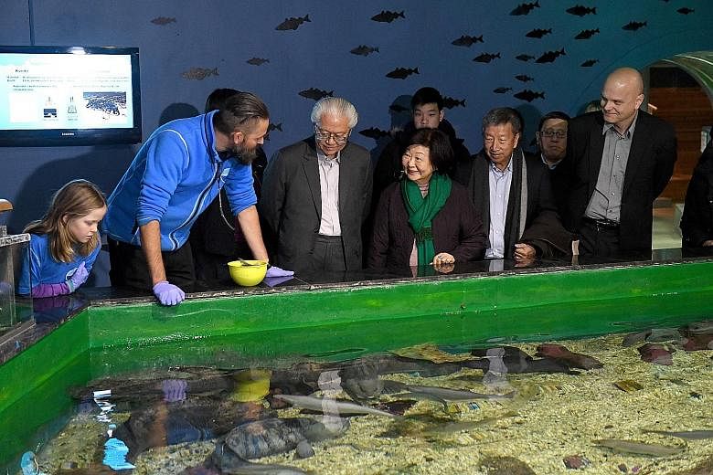 President Tony Tan Keng Yam (centre), Mrs Mary Tan and Non-Resident Ambassador to Norway Ng Ser Miang at a touch pool at the Polaria Museum in Tromso, Norway. The museum showcases Arctic animals and habitats.