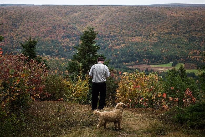 Mr Austin at a lookout point near the edge of his land in Cape Breton, Canada. His family business, the Farmer's Daughter Country Market, is currently run by his daughters, who came up with the idea of offering land to people who are willing to work 