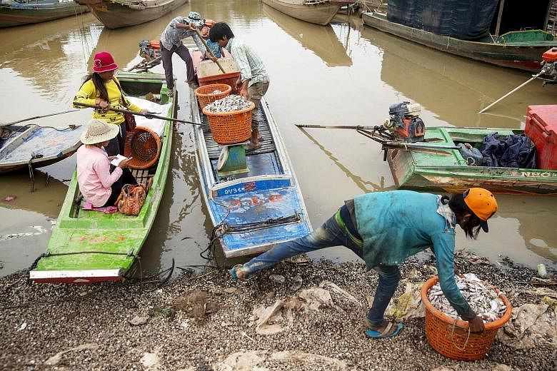 Workers weighing fish on the banks of Cambodia's Tonle Sap, South-east Asia's largest freshwater lake. The water in the lake, however, is hardly fresh as it is fouled by sewage, and agricultural and industrial pollution.