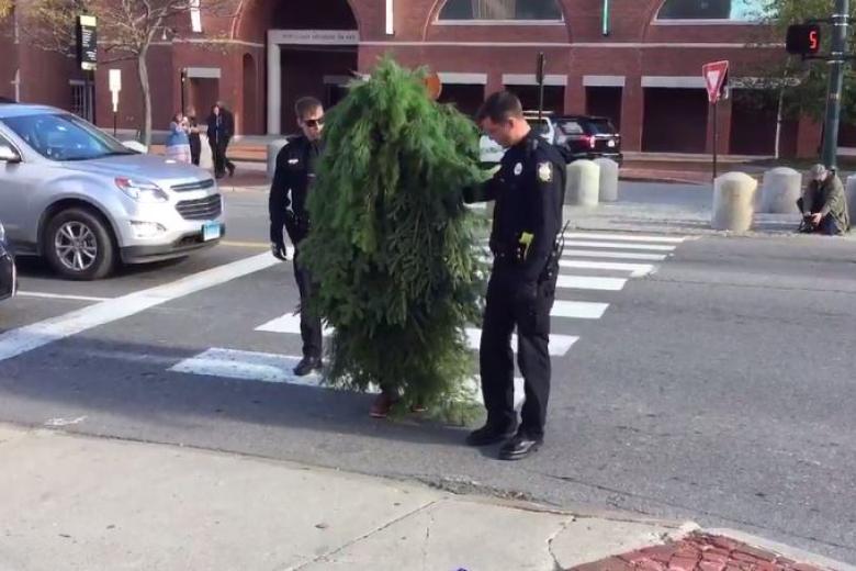 Man dressed as tree obstructed busy road for 