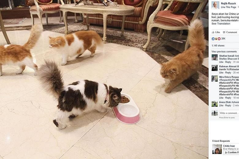 A photo from Mr Najib's Facebook page of his four cats in what appears to be his living room. He is visiting China at the invitation of Chinese Premier Li Keqiang.