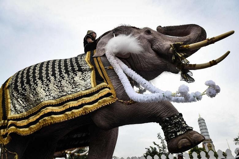 White elephants, mahouts pay respects to late Thai king