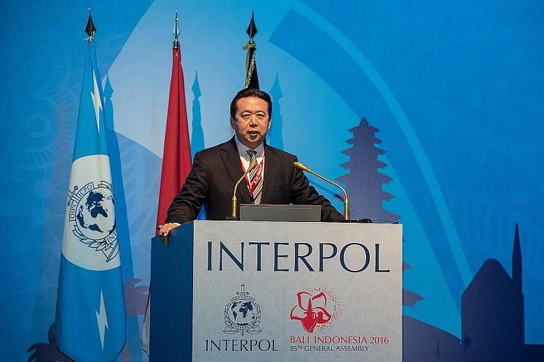China's Vice-Minister for Public Security Meng Hongwei was picked to take the helm of the global police cooperation agency for a four-year term.