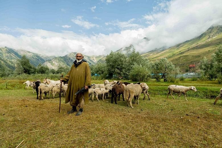 The travels of photographer Laxmi Kaul have given her opportunities to capture scenes in Kashmir such as a shepherd taking his sheep out to graze (above).