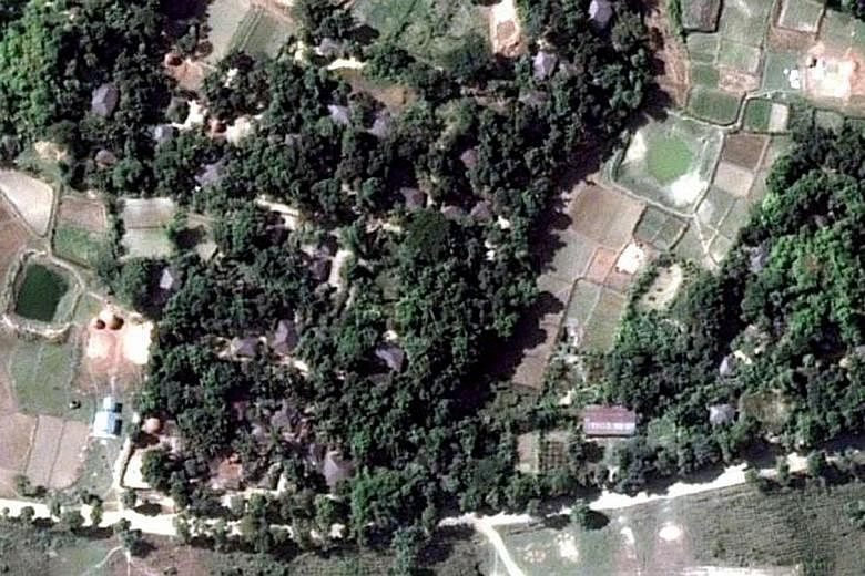 Satellite images showing a village in northern Rakhine state before buildings were destroyed (above) and after (below). The damage signatures were consistent with fire, including destroyed tree cover.