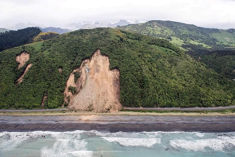 A landslide on New Zealand's South Island after the quake.