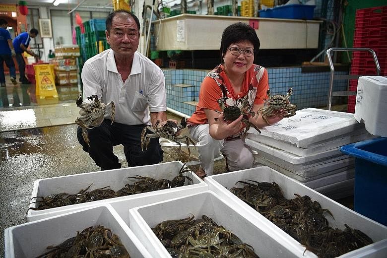 Madam Hong Ying Lien (right), director of High Fresh Trading, and general manager Lucas Ng displaying their new stock of hairy crabs from Holland yesterday. These crabs are more expensive than those from China.