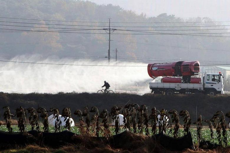 South Korea confirms highly pathogenic H5N6 bird flu outbreaks, ramps