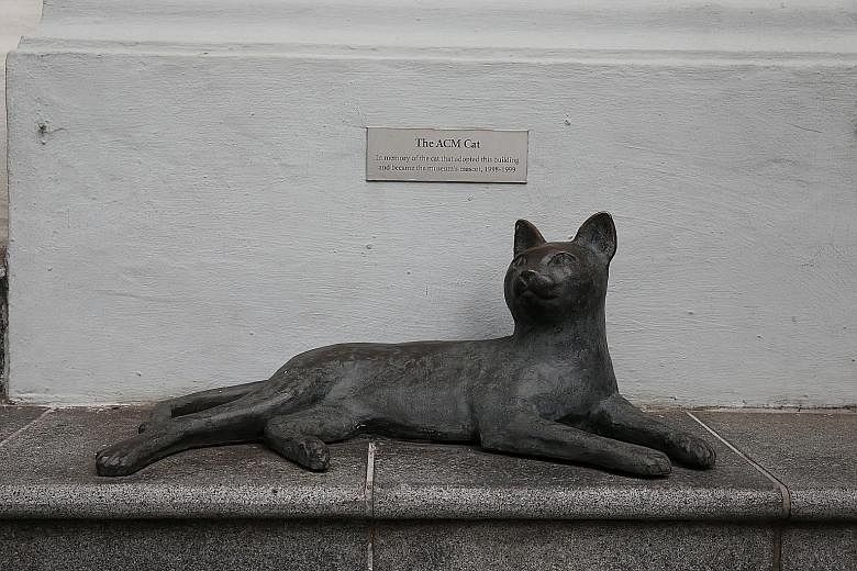 The "ACM cat" sculpture on the steps of the Peranakan Museum in Armenian Street. It was made by sculptor Chern Lian Shan in memory of a cat that used to show up on the building's steps almost daily.