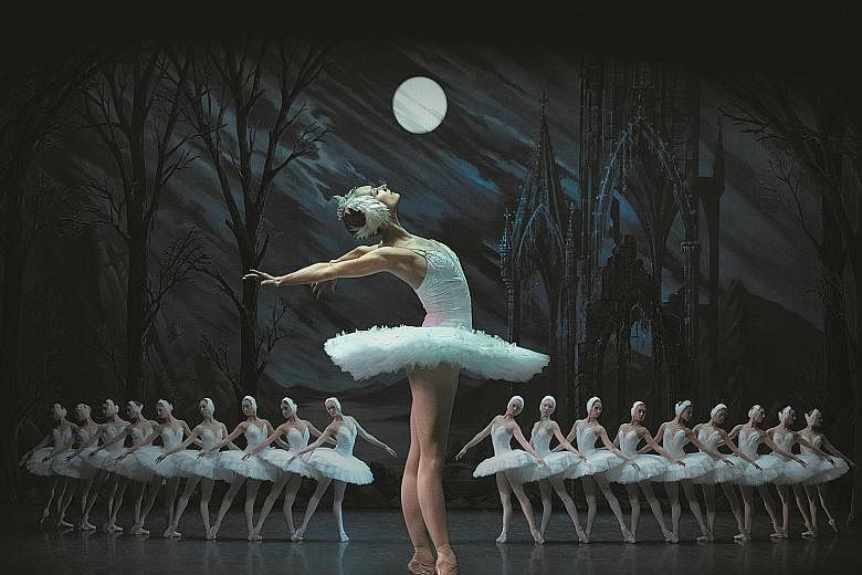 The St Petersburg Ballet Theatre, formed by Konstantin Tachkin, is restaging Tchaikovsky's Swan Lake (above) in Singapore.