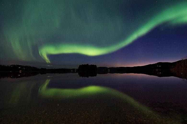 The Aurora Borealis, or Northern Lights, illuminating the night sky in Vaesternorrland county, Sweden, in August. The spike in demand for bookings to the Nordic countries follows reports that this is the last year to catch the Northern Lights for a w