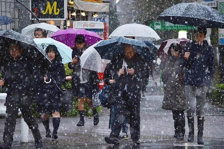 The rare November snowfall in Tokyo yesterday was caused by an eastward-moving cold front. At least 14 people were injured in falls on slippery roads and the city's train networks were hit by delays.