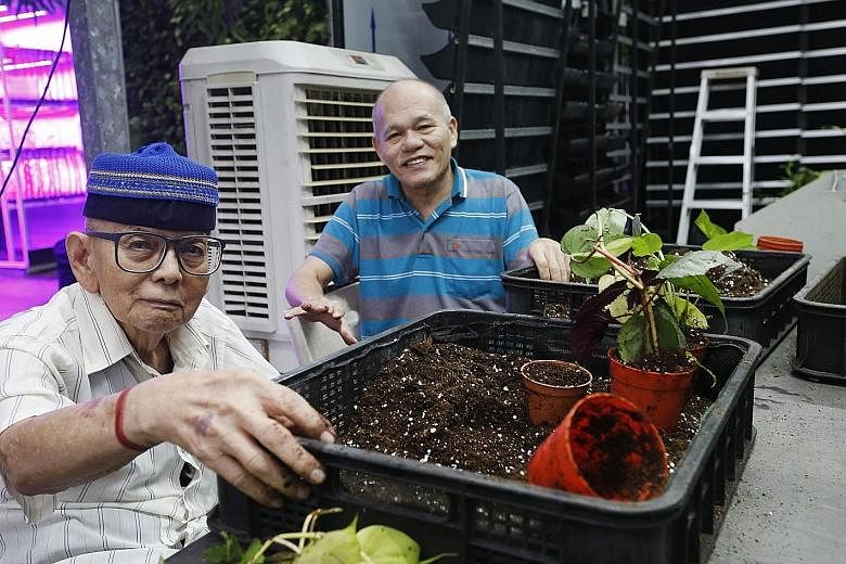 From far left: Apex Harmony Lodge residents Alwi Sulaiman, 87, and Lian Sing Huang, 65, spend two hours, twice a week, at Greenology. There, they place young plants in new pots and clean decorative moss.