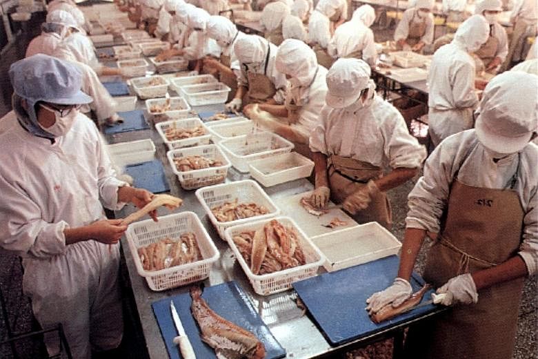 Alaskan pollock being skinned, cleaned and deboned by workers at a processing plant in China, under sub-contracting arrangements with Pacific Andes International Holdings.