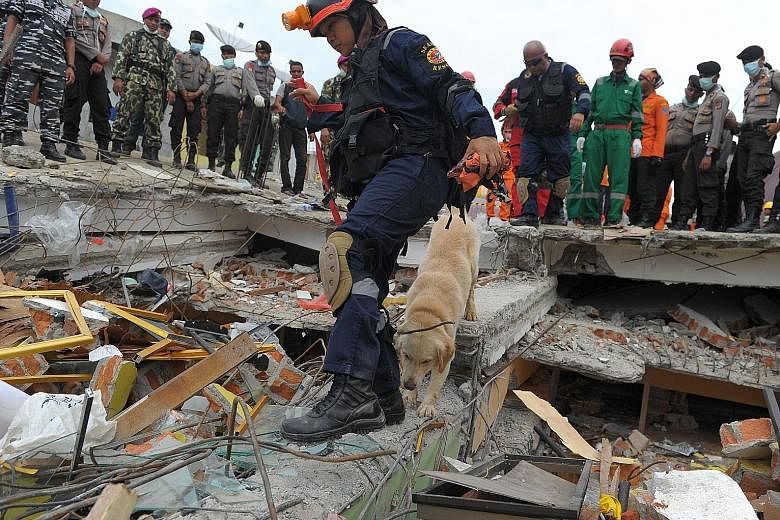 Search and rescue operations are still the main focus for many in Aceh. Over 2,000 rescuers, with the help of volunteers and local residents, have been working non-stop since the 6.5-magnitude earthquake struck the province on Wednesday.