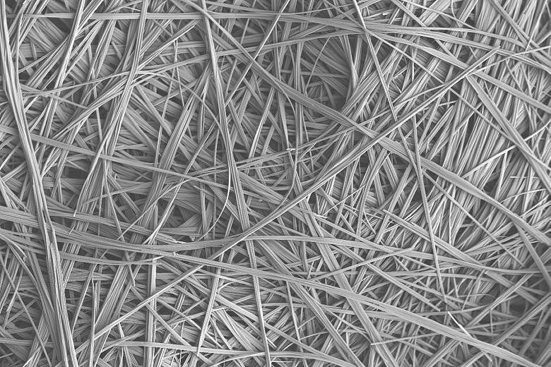 Molecules of this substance, developed by scientists at A*Star's Institute of Bioengineering and Nanotechnology, can assemble themselves into a 3D net to trap and solidify oil rapidly for easy removal.
