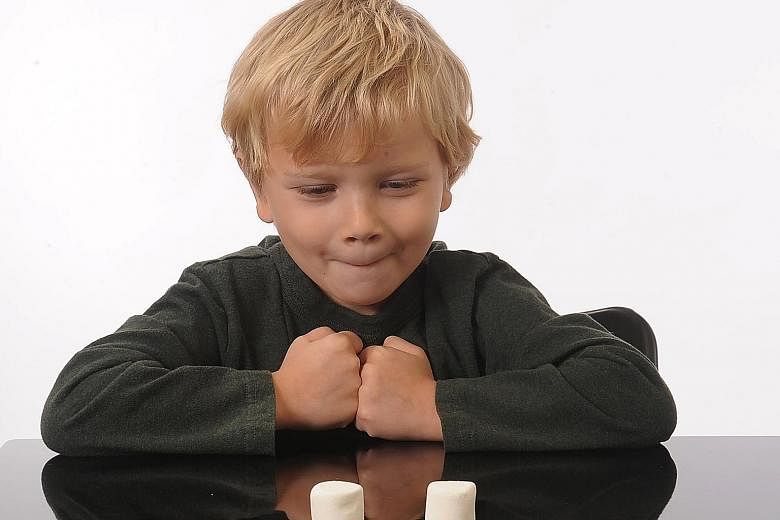 In the Marshmallow Test, four-year-old children were placed in a room with a marshmallow or other tempting food and told they could eat the treat right then, or, if they could wait 15 minutes, they could then have two. Some of the children could not resis