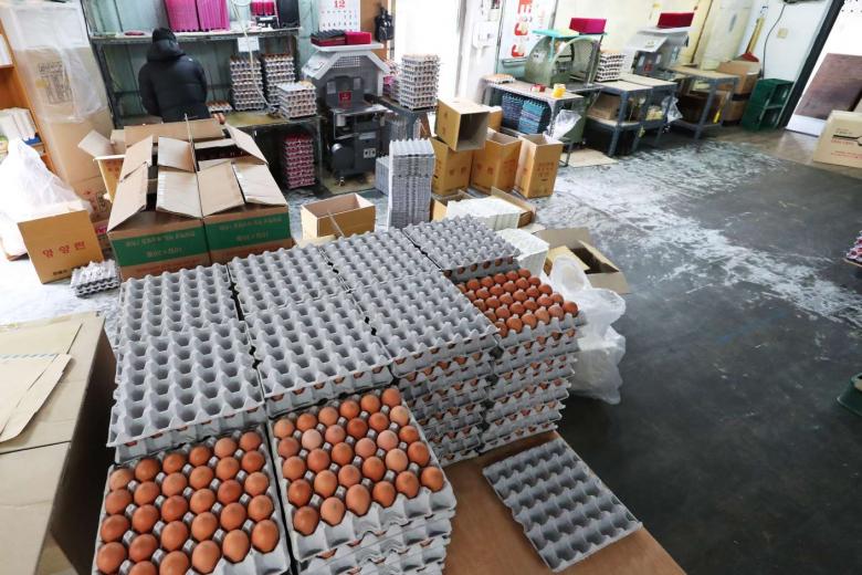 Eggs in short supply as South Korea battles worst bird flu outbreak The Straits Times