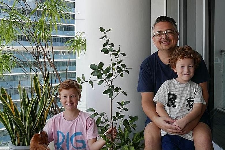 Mr Wild is one of the Lendlease staff caring for the saplings, which have been nurtured from stem cuttings taken from the original iconic tree (above). His daughter Eleni, 11, and son Joseph, five, are also helping to care for the sapling.
