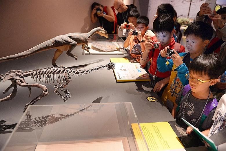 Pupils at the Dinosaurs: Dawn To Extinction exhibition held at the ArtScience Museum in 2014. They were part of The Straits Times Young Storymakers’ Camp.