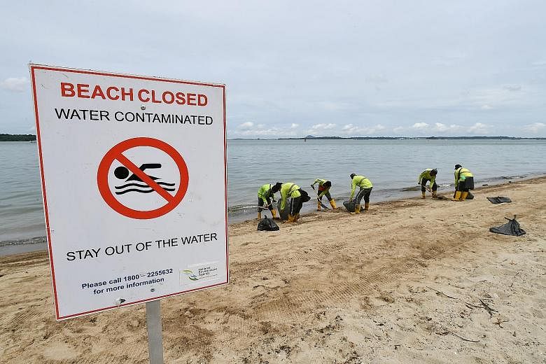 NEA contractors clearing the oil-stained sand on Changi beach yesterday.