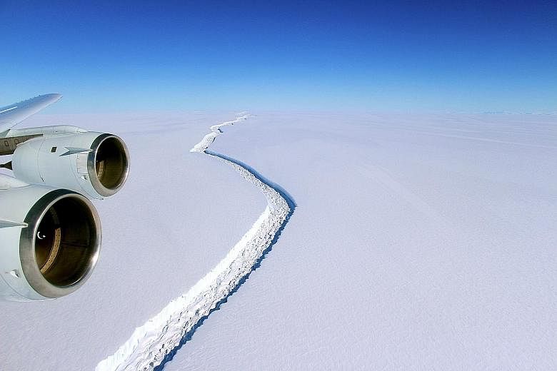 The rift in the Larsen C ice shelf is growing longer and wider.