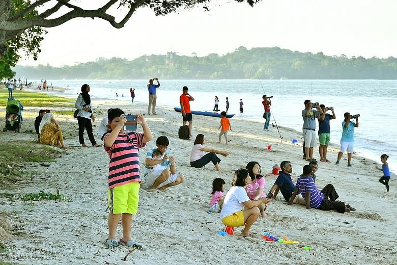 People enjoying plane-spotting at the reopened stretch of Changi beach yesterday, after cleanup operations were finished. Stretches of beach here were polluted with a black, tar-like substance after an oil spill caused by the collision between two ve