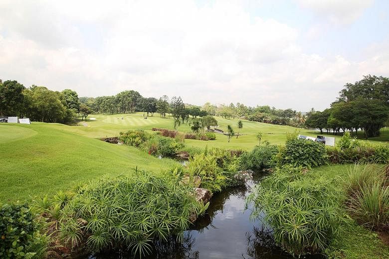 Top: The African Grey Crowned Crane, resident at Seletar Country Club since 2013. Above: Otters at the club, which is home to various species of flora and fauna. Seletar Country Club's effort to protect the environment while preserving its golf herit