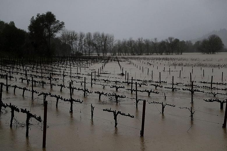 Vines at a vineyard standing in flood waters as a new round of rain and snow storms swept California and Nevada on Tuesday.