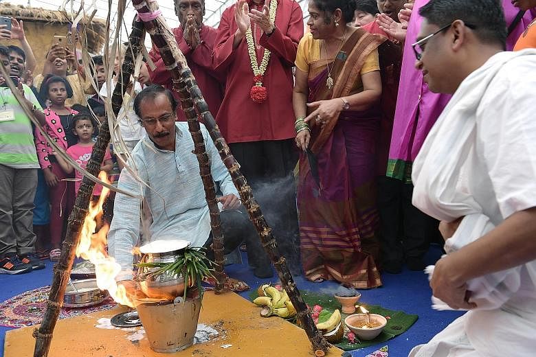Crowds gathered in Little India yesterday to celebrate Pongal, a harvest festival that is typically observed by the Tamil community. Pongal is both the name of the festival and its signature dish - a sweet mixture of milk and rice cooked over fire in