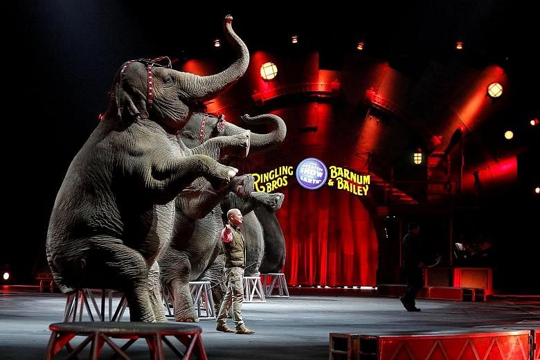 Elephants at a show in Pennsylvania last April. Company executives cited high operating costs and declining ticket sales after the elephants were retired as reasons for closing.