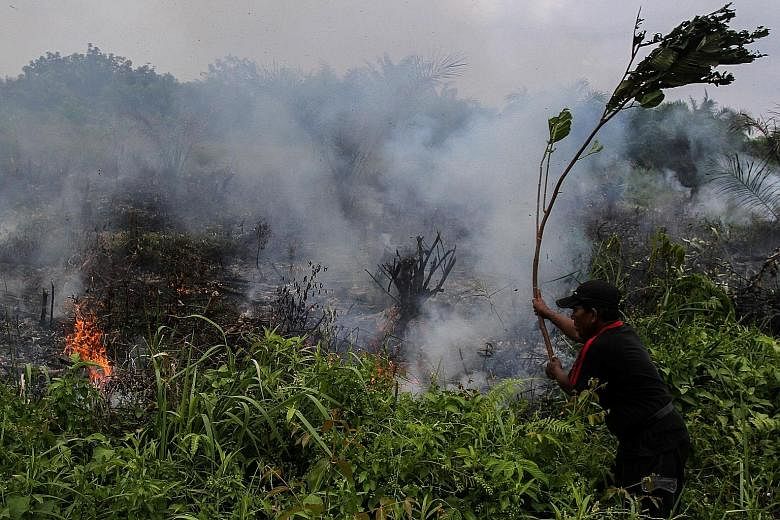 A man trying to put out a field fire in Pekanbaru, Riau, last Wednesday. The province has declared emergency status for forest and land fires for 96 days.