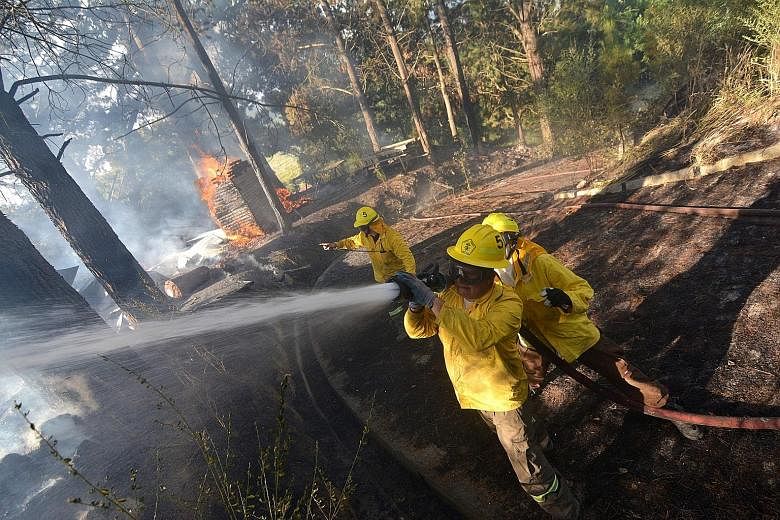 Chilean firefighters battling to contain a blaze in a forest in Concepcion, 450km south of the capital Santiago. Chile declared a state of emergency last week over the forest fires.