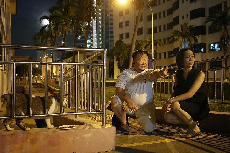 Team Dakota's Mr Chan Chow Wah, 43, and Ms Tan Peiying, 36, looking out for cats in distress during a visit to Dakota Crescent earlier this month.
