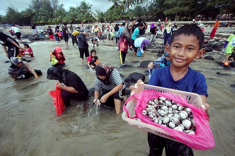 Ten-year-old Mohd Adam Haridh Amizi showing off the cockles he picked up at Batu Hitam beach in Kuantan, the state capital of Pahang, yesterday. Dozens of people rushed to the beach after hearing that the strong waves caused by the monsoon had washed