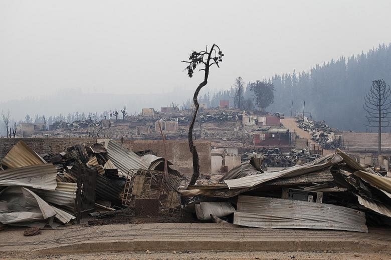 The wreckage of homes destroyed by wildfires in Santa Olga town in Chile last month. The fires have cost the country's forestry industry $495 million in losses.