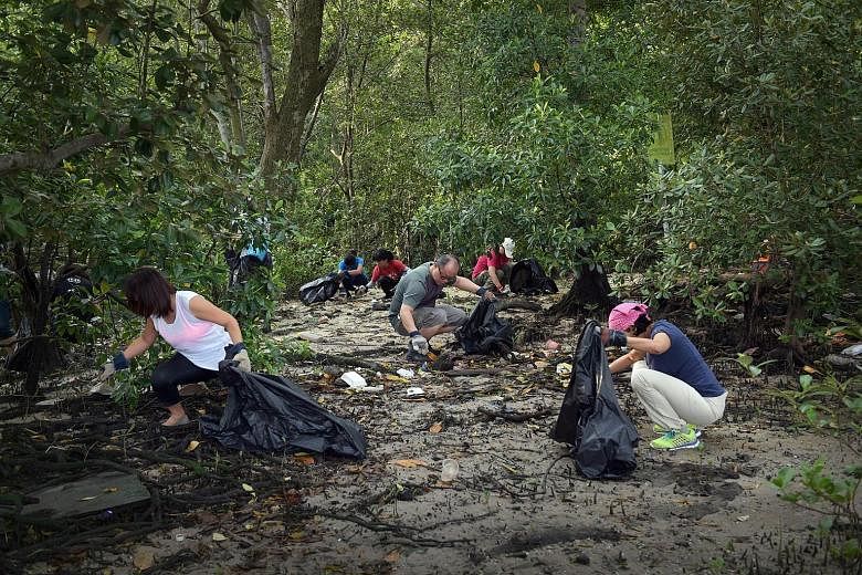 Programme manager Adrian Lim and his daughter Elizabeth were among the 67 volunteers cleaning up the Lim Chu Kang mangrove yesterday (below). "People should know that there's all this nature right in our backyard, but there's also all this trash," sa