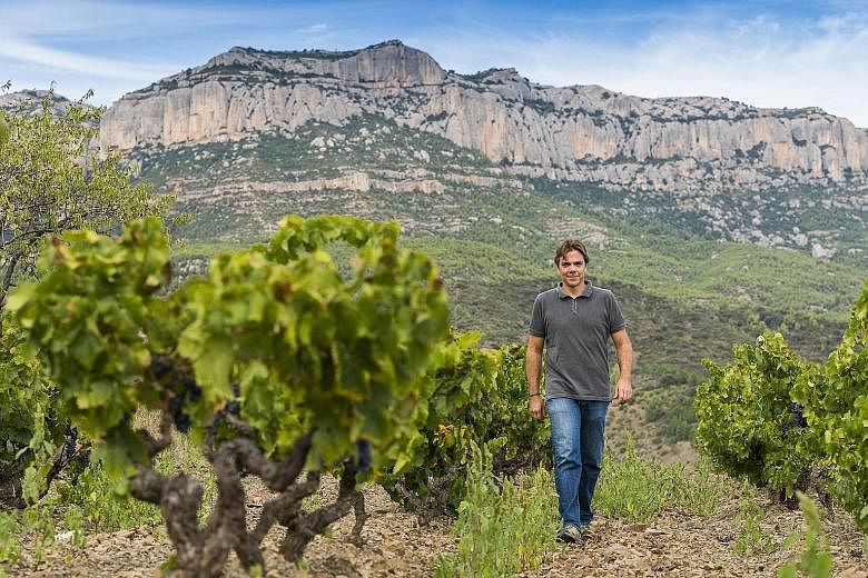 Mr Ricard Rofes, head wine-maker at Spanish winery Scala Dei, looks after 41 different vineyards spread across 70ha of land in the Priorat wine-making region of Spain.