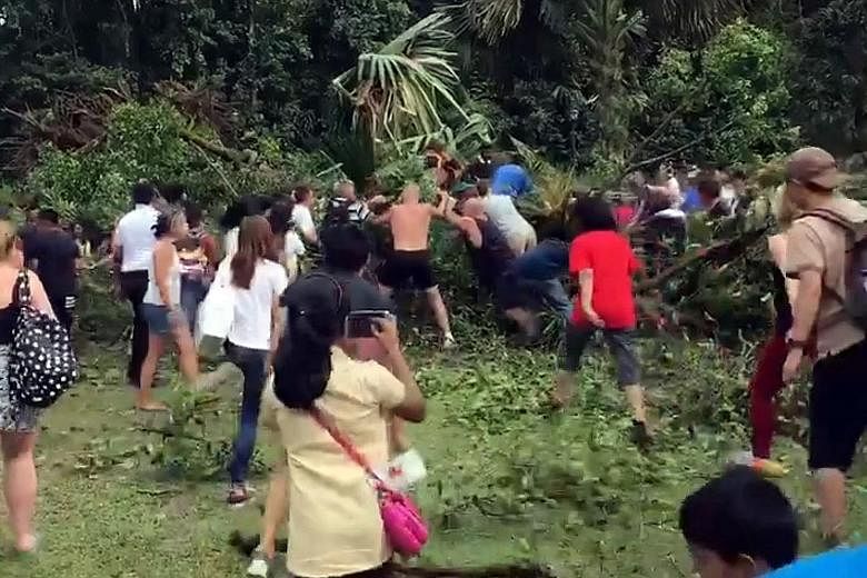 Left and above: Paramedics attending to the injured after the tembusu tree fell. Among those hurt were children. During the rescue work, the police advised the public to stay away from the site.