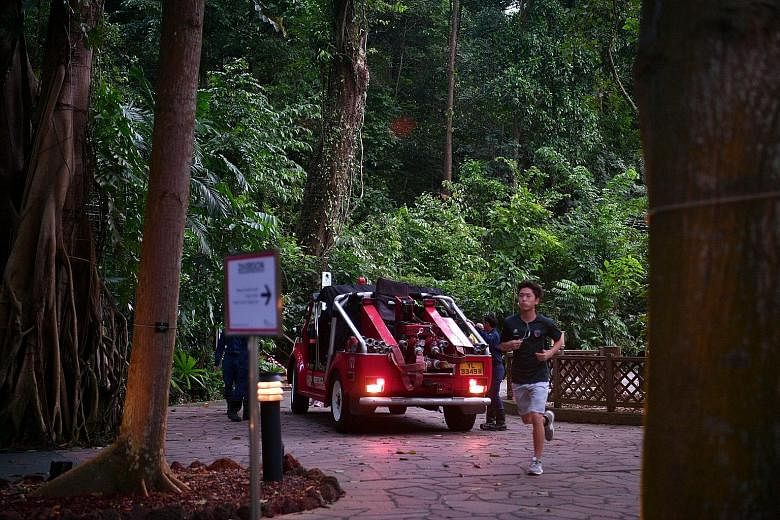 A Singapore Civil Defence Force vehicle at the Botanic Gardens yesterday, a day after the incident that claimed the life of Ms Angara and injured four others. Ms Angara, who was the regional digital marketing head for the Asia-Pacific at MasterCard, 