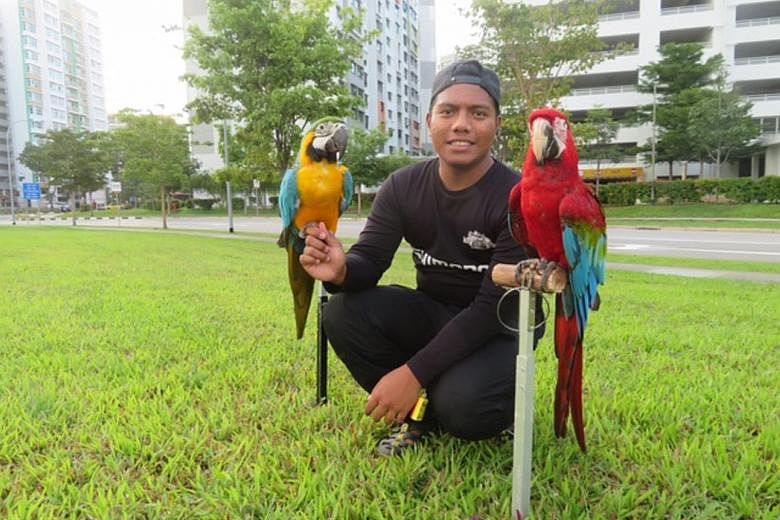 Yishun resident and parrot enthusiast Muhamad Riduwan says that "things like fighting, murder and animal abuse happen everywhere". The northern town of Yishun has developed a reputation as the heartland of the bad and mad, with what some see as a dis