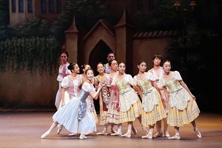Coppelia, a light-hearted love story involving a doll, was last performed by the Singapore Dance Theatre in 2013.