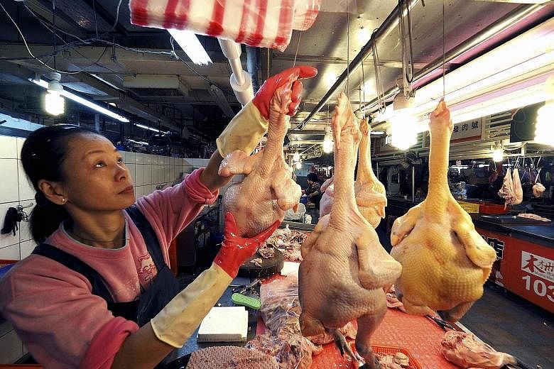 A poultry vendor at the Mucha Market in Taipei, Taiwan. A ban on the transport and slaughter of poultry to counter the recent avian influenza outbreak will stay in effect in Taiwan.
