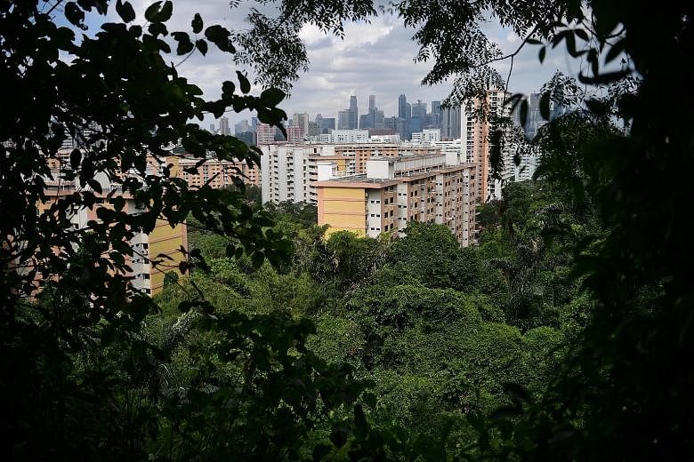 As this view from Mount Faber shows, residents are never too far from green lungs while the authorities have also ramped up the drive to get property developers to go green, by creating roof gardens for example.