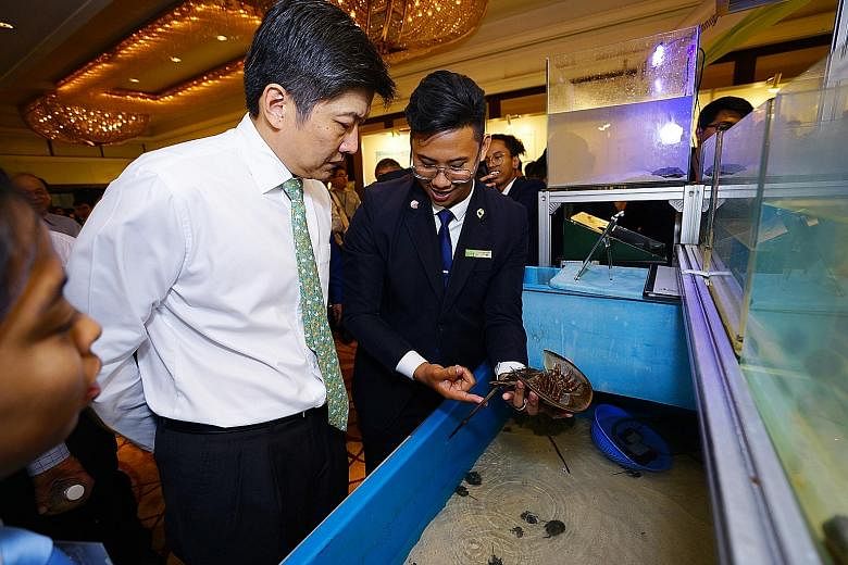 Mr Eunos Chong yesterday showing Education Minister (Schools) Ng Chee Meng a horseshoe crab his team had bred in captivity using a system it developed. The team topped the junior college/ITE category.