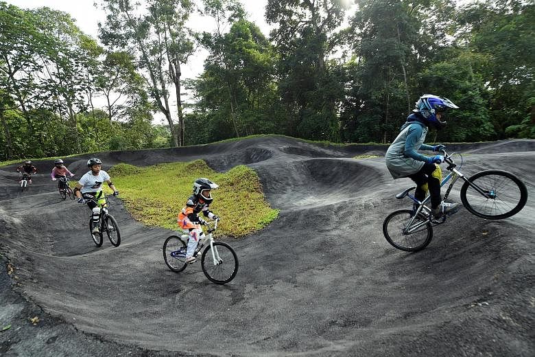 Children were among the biking enthusiasts who tried out Singapore's first pump track at Chestnut Nature Park yesterday. The track has four sections, called bowls, of varying difficulties. The park is now fully open after the northern section's openi