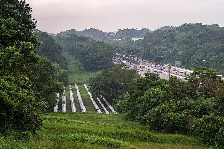 Water pipelines running alongside the Bukit Timah Expressway. While most SMEs will actually suffer only minimal pain when the price of water goes up by 30 per cent over two years, the loud protests over it reflect the heavy cost burdens that firms al