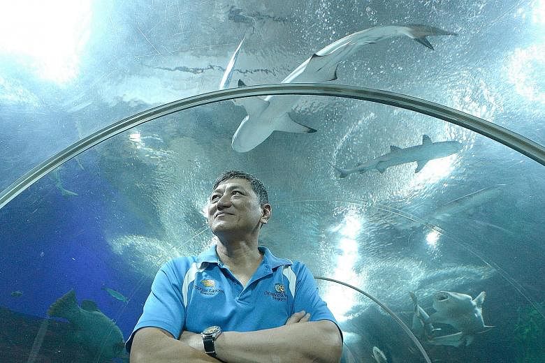 Mr Chan, a senior diver at Underwater World Singapore, and other divers were trying to herd a leopard whiptail ray to a shallower area in its tank when he suddenly shouted and collapsed. He was pronounced dead 1½ hours later.